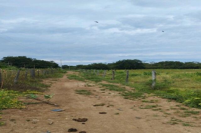 Imóvel rural em Itacarambi, Área Rural, Fazenda Ilha Área Rural, MG. Área: nullm2
