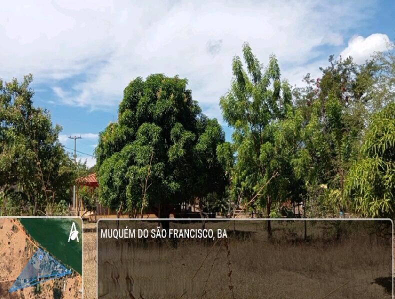Imóvel rural em Muquém Do São Francisco, Juazeiro Grande, Área Rural Denominada Juazeiro Grande, Da Fazenda Itaim, Localizada No Distrito De Piragiba Juazeiro Grande, BA. Área: 40000m2