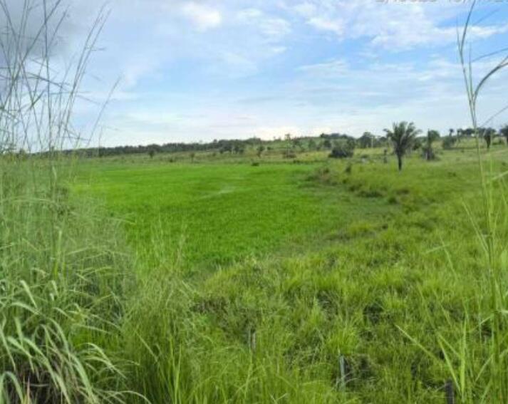 Imóvel rural em Maranhãozinho, Área Rural C/ 50,00ha, Localizada Na Quadra Valdimiro, Constituída Pelo Lote Nº 29 Área Rural C/ 50,00ha, MA. Área: 500000m2