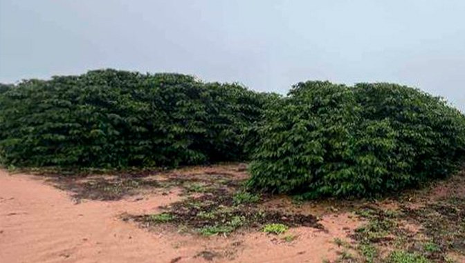 Terreno em Garça, , Garça, Sp, SP. Área: nullm2
