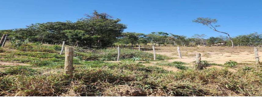 Imóvel rural em Esmeraldas, Zona Rural, Estrada Vicinal - Zona Rural, MG. Área: nullm2