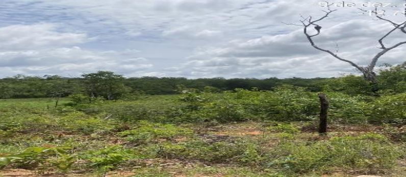 Imóvel rural em Serra Dourada, Seta Branca, Estrada Vicinal - Seta Branca, BA. Área: nullm2