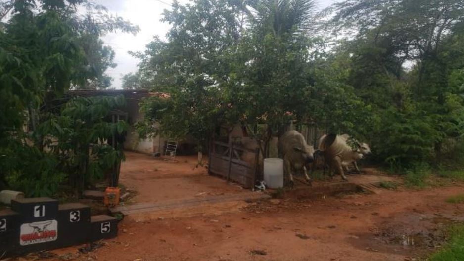 Casa em Trindade, Setor Res. Garavelo I, Rua Professora Maria da Cruz Lt 05 da Qd 01 - Setor Res. Garavelo I, GO. Área: 233.28m2