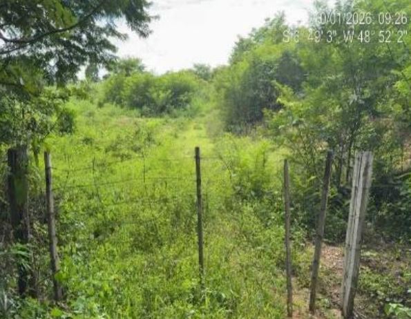 Imóvel rural em Muricilândia, Zona Rural, Estrada Vicinal Lote 28 - Zona Rural, TO. Área: nullm2