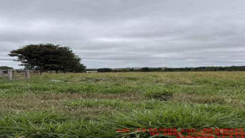 Imóvel rural em São José do Rio Claro, Zona Rural, Estrada Vicinal Lt 26 - Zona Rural, MT. Área: nullm2