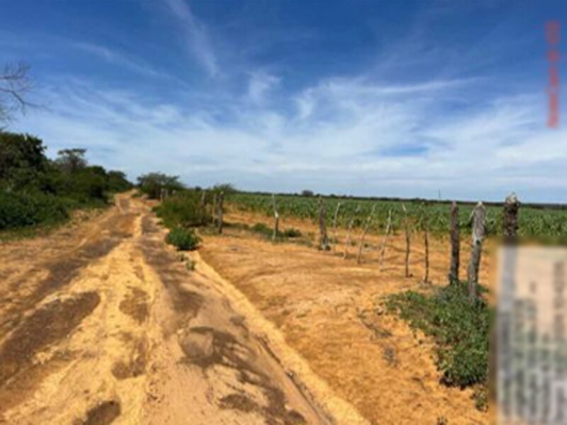 Terreno em São Gabriel, ,  Situado No Lugar Denominado Fazenda Cebola Brava, BA. Área: nullm2