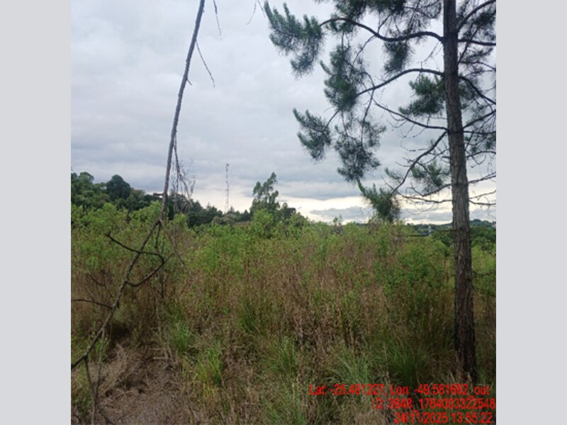Terreno em Balsa Nova, ,  Lote 07 - Divisão Amigável, PR. Área: 22502m2