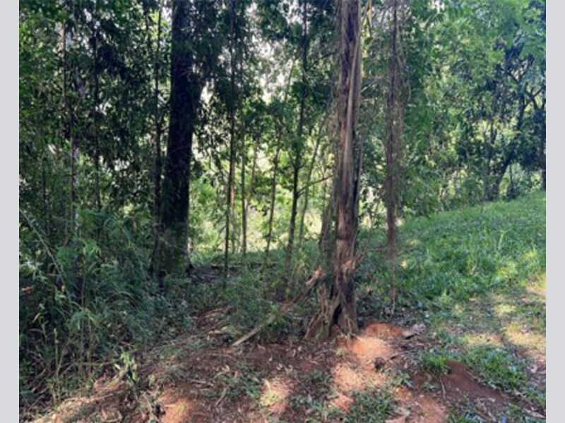 Terreno em Prudentópolis, Loteamento Lubina Tarasczuk, Rua Marginal S/n (lote 14 Da Quadra Única) Loteamento Lubina Tarasczuk, PR. Área: 1136.88m2