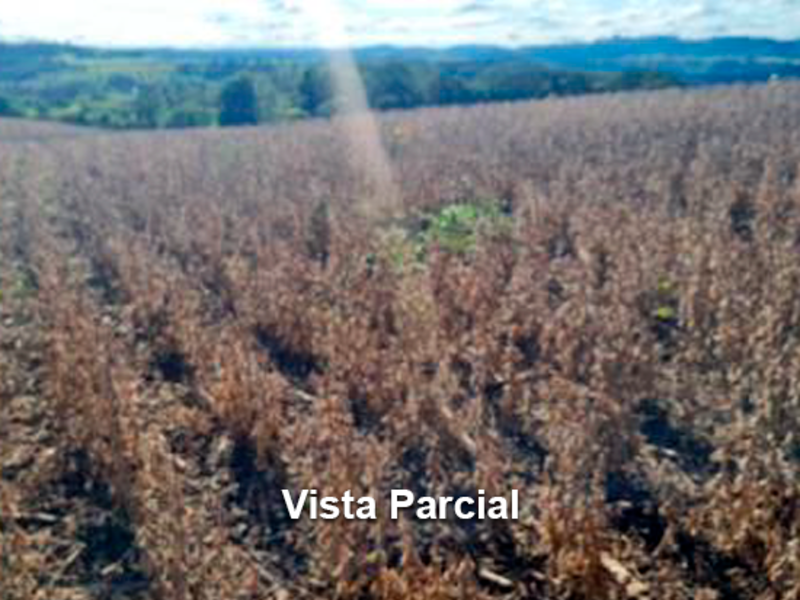 Imóvel rural em Concórdia, Rancho Grande,  Situado No Lugar Denominado Rancho Grande Rancho Grande, SC. Área: 121157.89m2