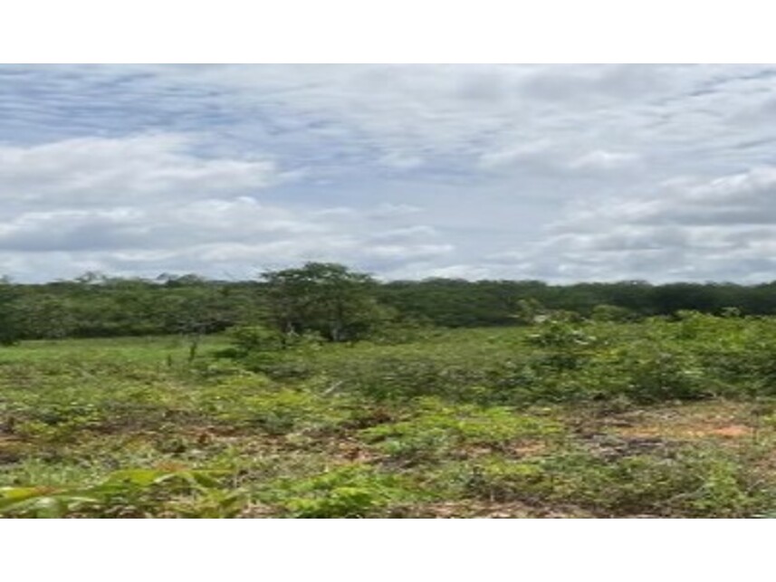 Imóvel rural em Serra Dourada, Área Rural De Serra Dourada, Estrada Vicinal s/nº - Área rural - Área Rural De Serra Dourada, BA. Área: nullm2