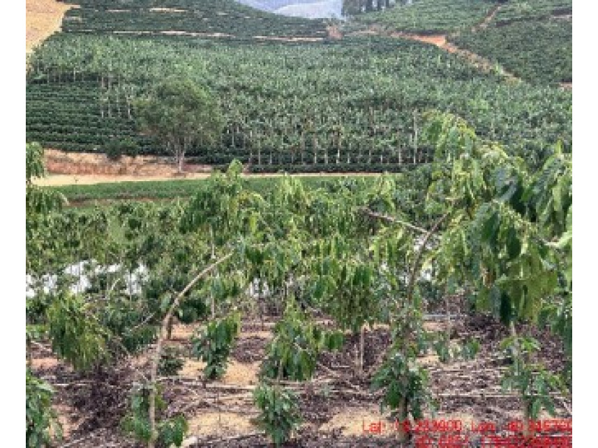 Imóvel rural em Rio Bananal, Zona Rural, Estrada Municipal s/nº - Área Rural e suas benfeitorias, situada no lugar denominado Córrego Primavera - Zona Rural, ES. Área: 231142m2