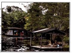 Imóvel rural em Anajás, Fazenda São José, Fazenda SÃO JosÉ Margem Direita Rio AnajÁS, N. S/N, IgarapÉ SapararÁ, PA. Área: 333000m2
