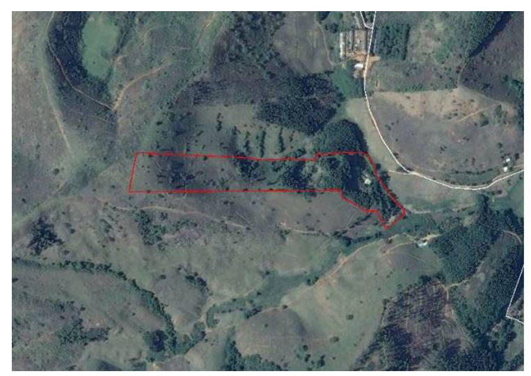 Imóvel rural em Ubá, Ubá, Fazenda Da Gloria, N. Sn, ÁRea De Terras Rural, MG. Área: 499.63m2