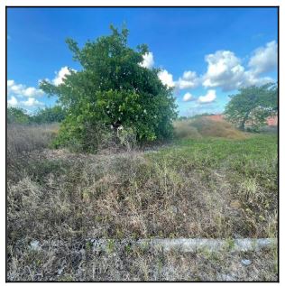Terreno em Horizonte, Dourado, Rua M, N. 00, Qd 13, Lt 05 Ao 12 E 33 Ao 40, CE. Área: 4032m2