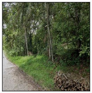 Terreno em São Lourenço da Mata, Chò Da Tßbua, Rua Atalaia Do Belmonte (Antiga Rua Projetada), N. 00, Qd J-2, Lt 43, PE. Área: 900m2