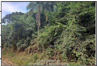 Gleba em Ivaí, Ivai, SÍTio TrÊS Monjolos, N. 00, Estrada Ivai Saltinho - ÁRea Rural, PR. Área: 60500m2