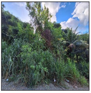 Terreno em Serra, Belvedere, Rua Divino De Sao Lourenco, N. S/N, Qd 05, Lt 19, ES. Área: 300m2