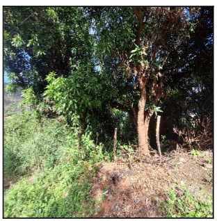 Terreno em Serra, Belvedere, Rua Conceicao Do Castelo, N. S/N, Qd 05, Lt 07, ES. Área: 300m2 Terreno em Serra, Belvedere, Rua Conceicao Do Castelo, N. S/N, Qd 05, Lt 07, ES. Área: 300m2