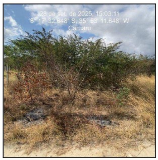 Terreno em Caruaru, Zona Urbana, Rua Projetada 13, N. S/N, Qd B4, Lt 05, PE. Área: 450m2