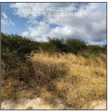 Terreno em Caruaru, Zona Urbana, Rua Projetada 13, N. S/N, Qd B4, Lt 06, PE. Área: 450m2