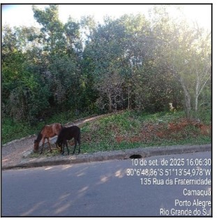 Terreno em Porto Alegre, Camaqua, Rua Sinodo, N. 35, Qd K, Lt 01, RS. Área: 7405.54m2