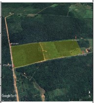 Imóvel rural em Curimatá, Zona Rural, Fazenda Matos - Ribeira De CurimatÁ, N. 00, Data Matos, PI. Área: 265931m2