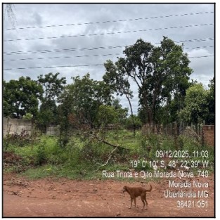 Terreno em Uberlândia, Morada Nova, Rua Ina Maria Pinto (Antiga Rua 38), N. 00, Qd 50, Lt 22, MG. Área: 1000m2