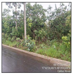 Terreno em Caldas Novas, Setor Lagoa Quente, Rua 18, N. 00, Qd 196, Lt 09, GO. Área: 1000m2