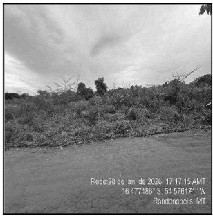 Terreno em Rondonópolis, Chacaras Paraiso, Rua Matildes Costa Souza, N. 00, Qd 06, Lt 11, MT. Área: 3000m2