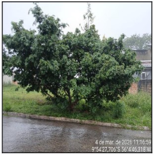 Terreno em Alta Floresta, Res. Jardim Europa, Rua A2, N. 00, Qd 12a, Lt 11, MT. Área: 224.49m2