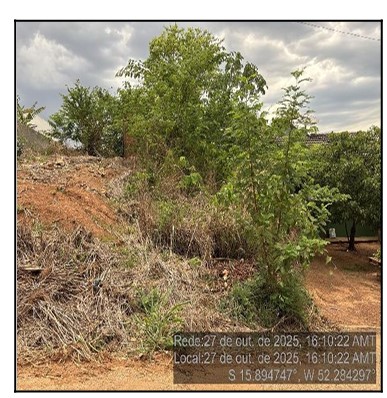 Terreno em Barra do Garças, Loteamento Cidade Universitaria, Rua M, Lt 32, Qd 17, MT. Área: 250m2