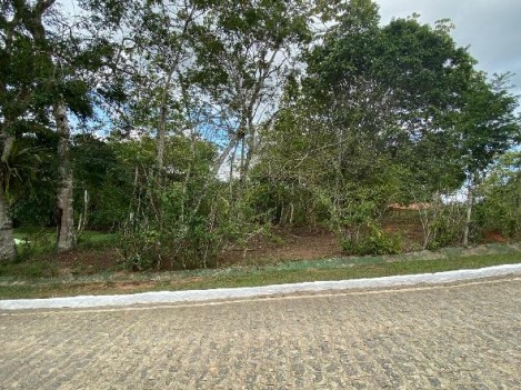Terreno em Aliança, Cenro, Rua Getulio Vargas, Lt 10, PE. Área: 1000m2