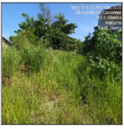 Terreno em Araruama, Pernambuca (praia Seca), Avenida Das Casuarinas, N. Sn, Lt 05, Qd D, Loteamento Inscrito N.71, RJ. Área: 589.16m2