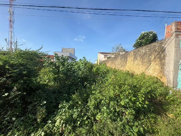Terreno em São Luís, Parque Pindorama, Rua Colinas, N. Sn, Lt 06 Qd 20, MA. Área: 360m2