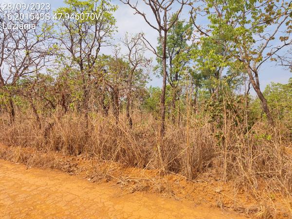 Terreno em Luziânia, Parque Alvorada Ii, Avenida Xiii, N. Sn, Qd 267, Lt 01, GO. Área: 5625m2