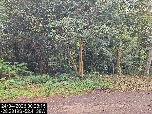 Terreno em Passo Fundo, Vila Luiza, Rua Salzano Da Cunha, N. Sn, ChÁCara 25, RS. Área: 3117m2