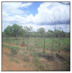 Terreno em Luziânia, Parque Alvorada Ii, Avenida Xvi, N. Sn, Lote 10 Qd 266, GO. Área: 5000m2