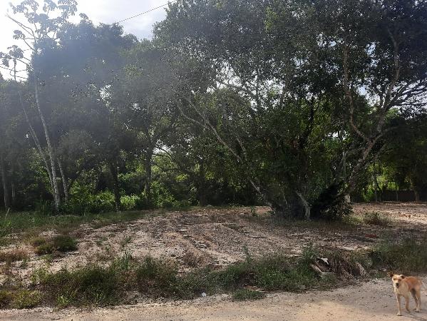 Terreno em Iguaba Grande, Loteamento Campos Ve, Avenida Igarapiapunha (Rua Dos Verdes), N. S/N, Qd F Lt 04, RJ. Área: 474.62m2