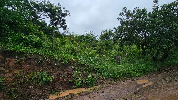 Terreno em Lagoa do Carro, Lot Recanto Carpina, Rua E-5, N. S/N, Lt 11b, PE. Área: 1150m2