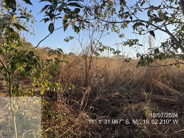 Terreno em Itaúba, Setor Industrial, Rua 03, N. Sn, Qd 01 Lt 05, MT. Área: 0.01m2