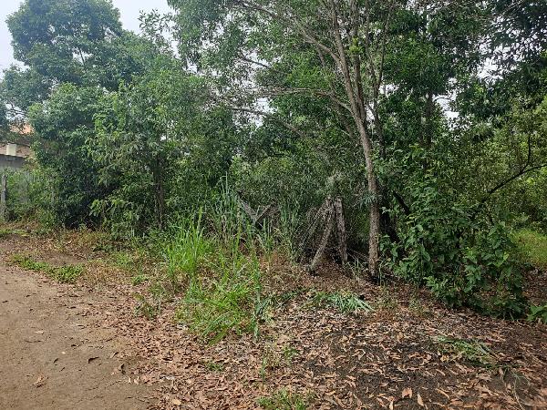 Terreno em Vila Velha, Do Congo, Rua Darci Vieira Dos Santos, N. Sn, 153, ES. Área: 2004m2