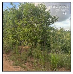 Terreno em Lagoa do Carro, Loteamento Recanto C, Via Principal, N. S/N, Lt 65, PE. Área: 1782m2