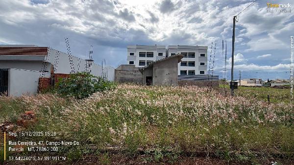 Terreno em Campo Novo do Parecis, Jardim Alvorada, R Cerejeira Quadra 30, N. Sn, Lt 21, MT. Área: 200m2