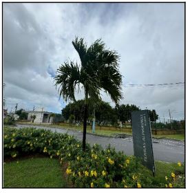 Terreno em Barra dos Coqueiros, Centro, Alameda Carambola, N. 0, Qd Aa L 06, SE. Área: 305m2