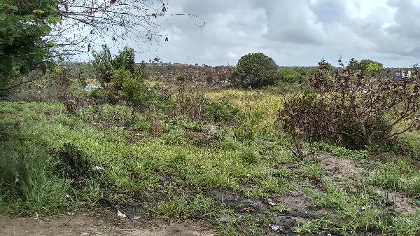 Terreno em Camaçari, Arembepe Abrantes, Rua Santa Efigenia, N. Sn, Sitio Santa Efigenia, BA. Área: 19960m2