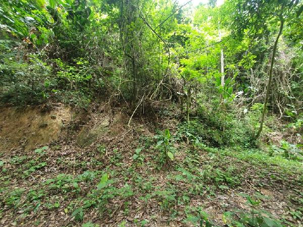 Terreno em Niterói, Piratininga, Rua 419, N. Sn, Lt 09, Qd 433, RJ. Área: 427.5m2