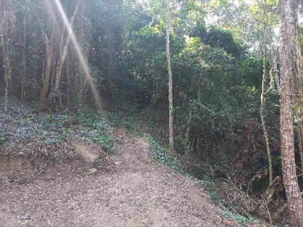 Terreno em Niterói, Piratininga, R Jornalista Carlos Silva, N. 0, Lote 18, Quadra 435, RJ. Área: 481.3m2