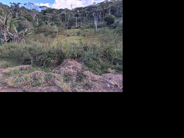 Terreno em Teresópolis, Fazenda Alpina, Estrada Santa Rita, N. S/N, Lt77, Qdv, RJ. Área: 1135.24m2