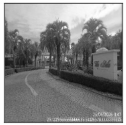 Terreno em Caxias do Sul, Serrano, Rua Armindo Luiz Rech, N. Sn, Lt 23 Qd 6112, RS. Área: 2000m2