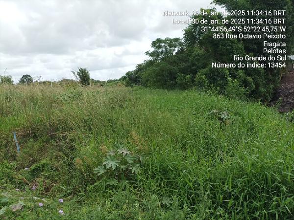 Terreno em Pelotas, Fragata, Rua Marilda Zaidem Mesquita, N. 62,, RS. Área: 398.12m2